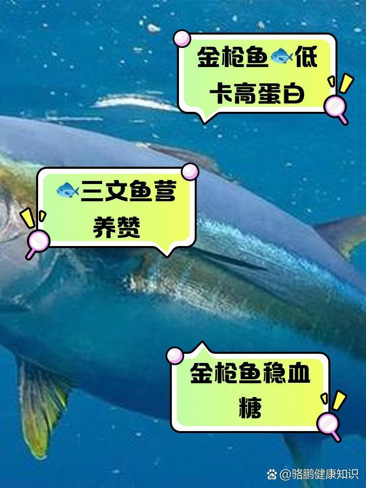 金槍魚好還是三文魚好