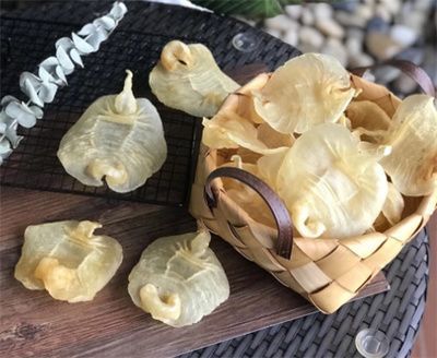 金龍魚魚膠好還是鳘魚魚膠好？（金龍魚和鳘魚魚膠的選購技巧）