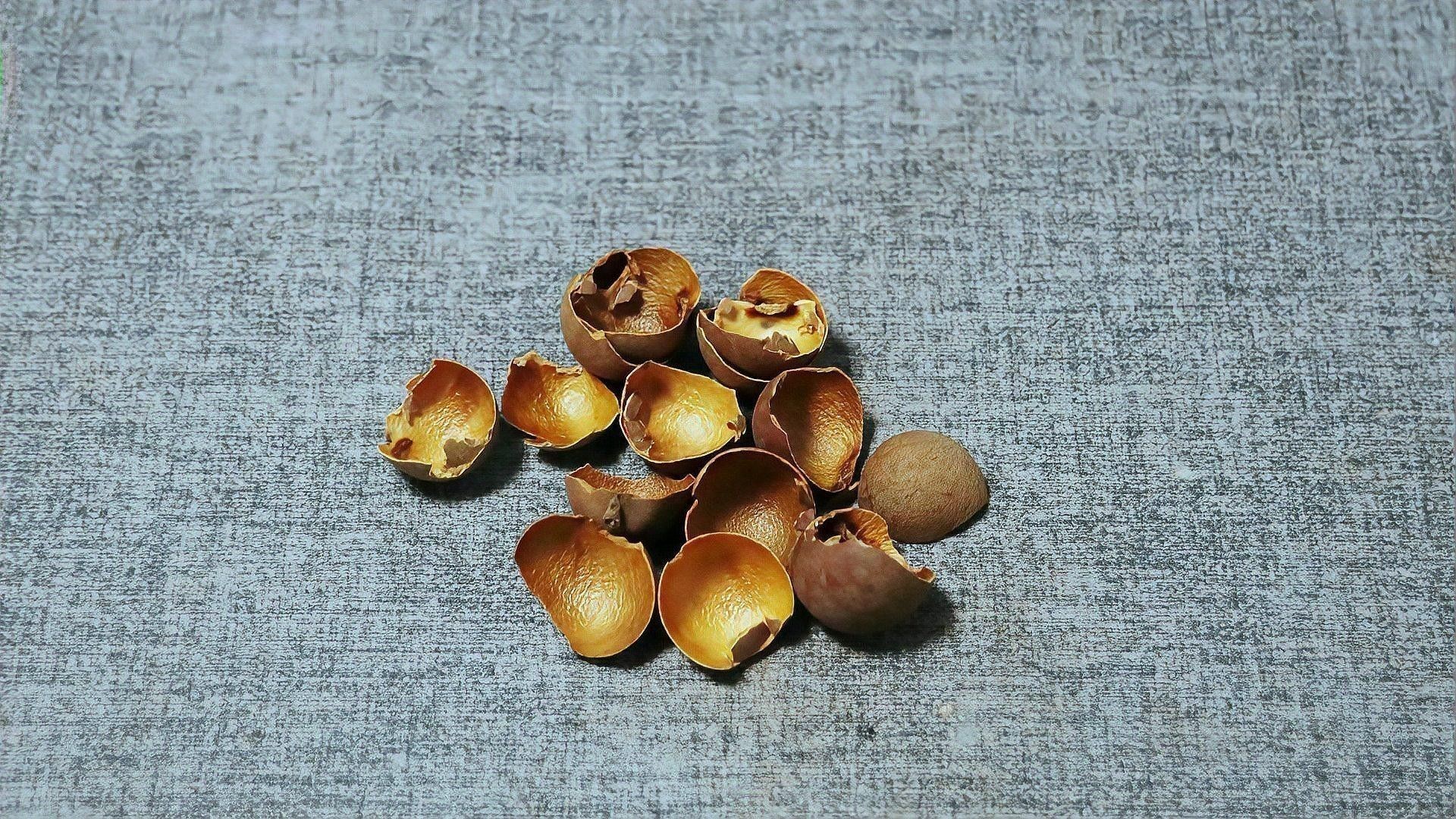 龍眼白膜對消化有何作用？