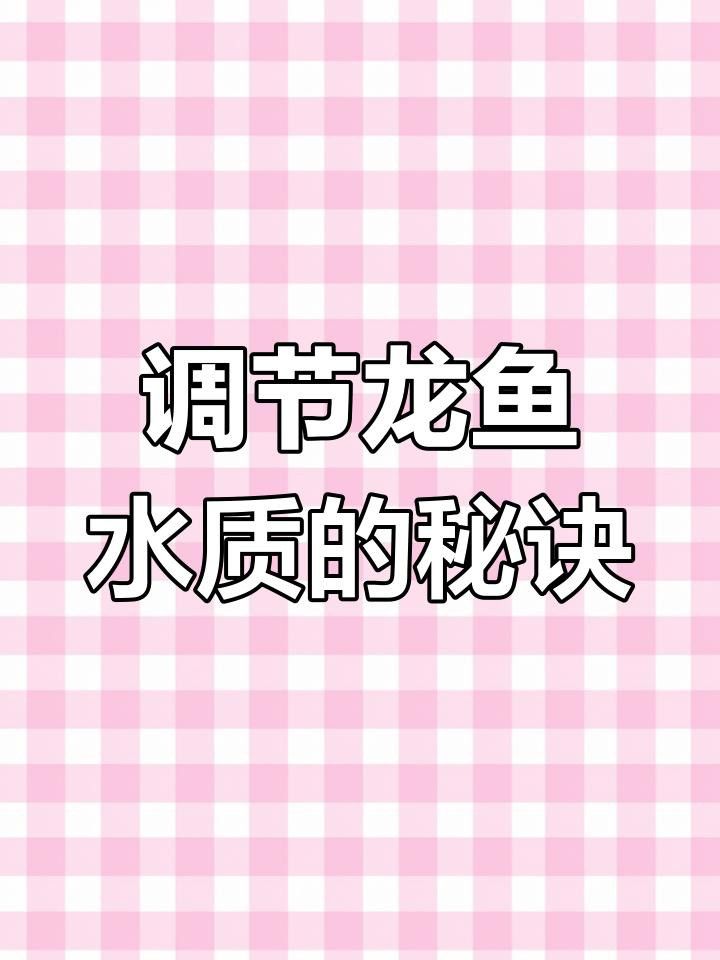 如何調整水質以幫助紅龍魚適應？