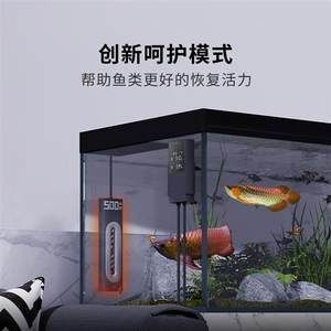 龍魚缸怎么降溫的：龍魚缸怎么降溫