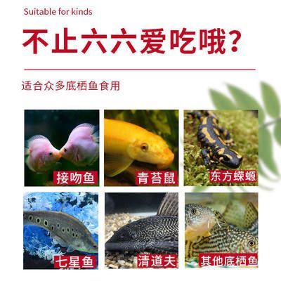 六角恐龍魚飼料怎么喂視頻大全：六角恐龍魚飼料喂食文字版教程