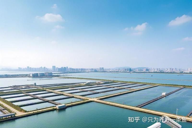 帝龍漁業(yè)未來有何發(fā)展規(guī)劃？