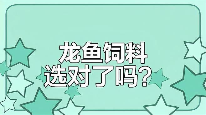 有哪些紅龍魚專用飼料推薦？