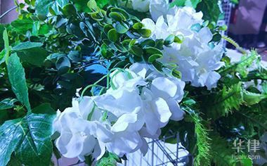 公司有哪些專利技術(shù)？