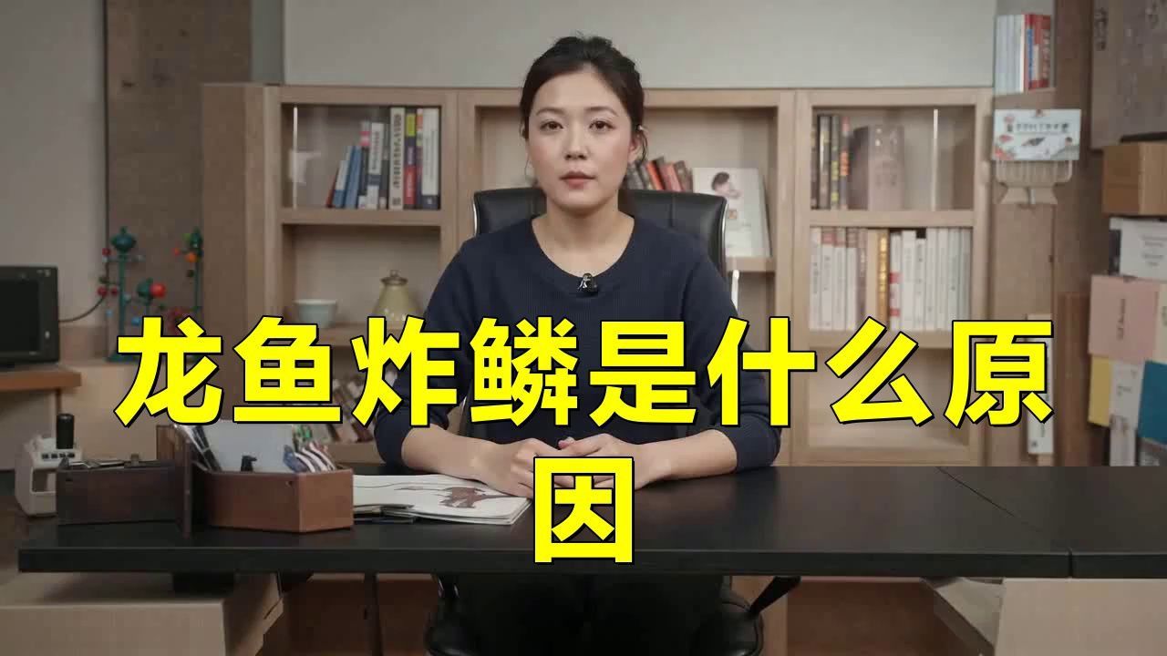 如何預(yù)防龍魚炸鱗的發(fā)生？