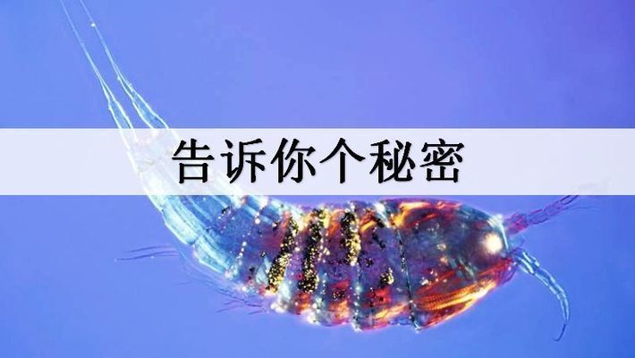 魚缸水渾濁加硝化細菌，如何正確使用硝化細菌改善水質