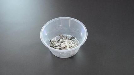 龍魚缸放小蘇打（小蘇打在魚缸中的作用及其使用方法）
