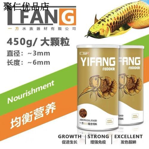 金龍魚怎么上色最快圖片