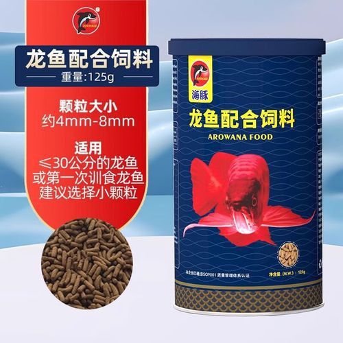 金龍魚怎么上色最快圖片