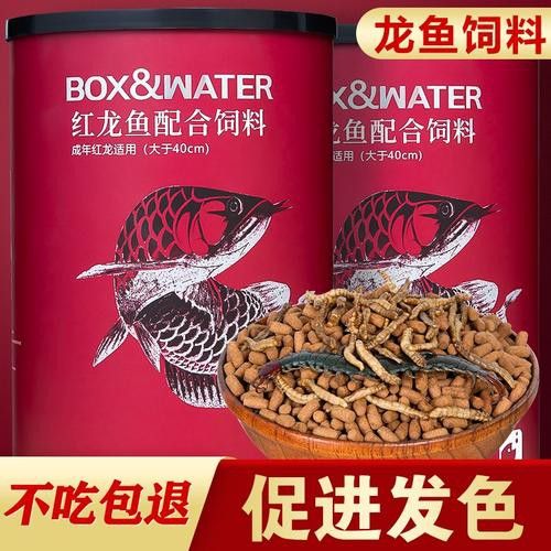 金龍魚怎么上色最快圖片