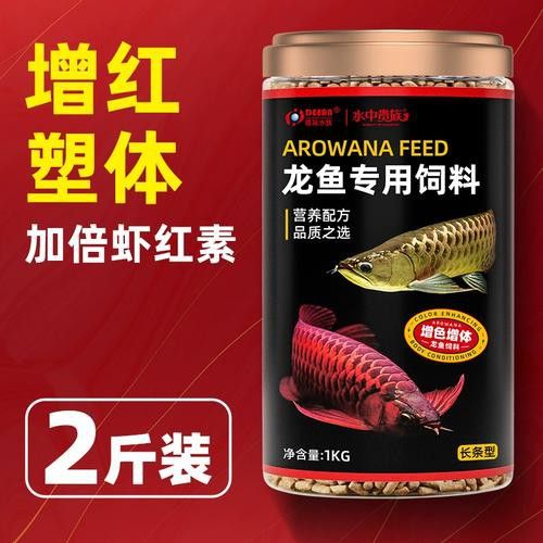金龍魚怎么上色最快圖片