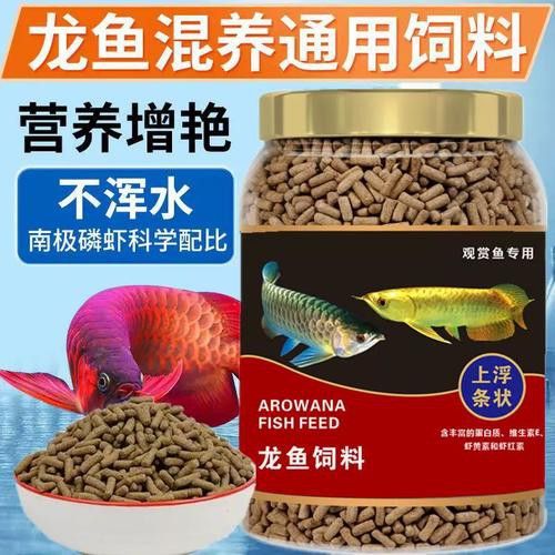 金龍魚怎么上色最快圖片