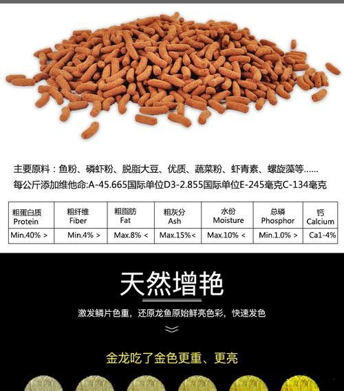 金龍魚怎么上色最快圖片