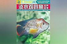 推薦一些金龍魚養殖書籍 推薦一些金龍魚養殖書籍 龍魚百科 第7張