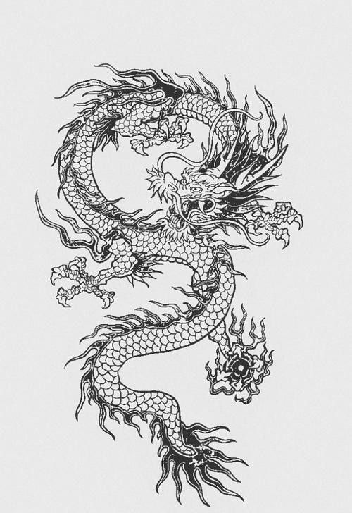 哪里可以找到龍圖騰矢量圖？