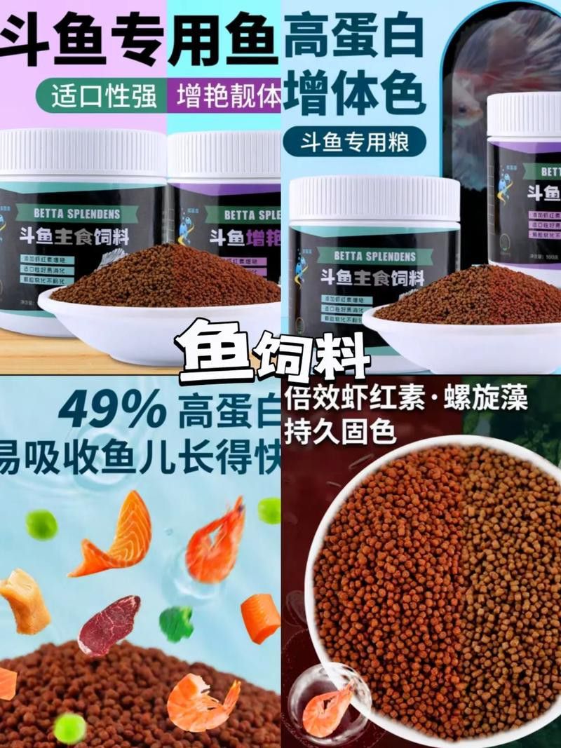 有哪些品牌的古龍魚飼料推薦？