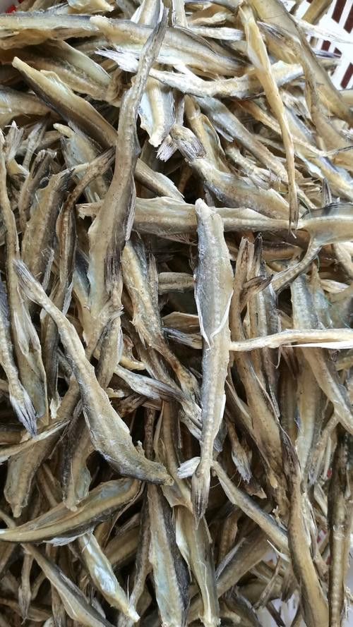 給我一張龍頭魚干圖片