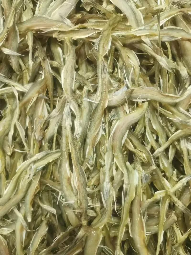 給我一張龍頭魚干圖片