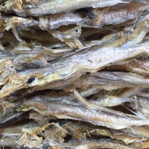 給我一張龍頭魚干圖片