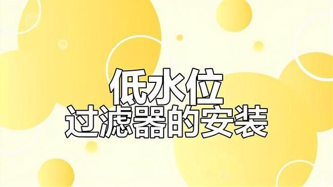 龍魚和烏龜混養需要哪些過濾器？