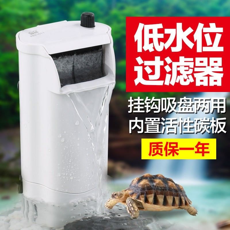 龍魚和烏龜混養需要哪些過濾器？