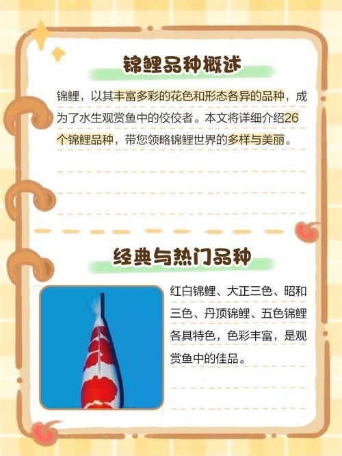 錦鯉26個品種圖解