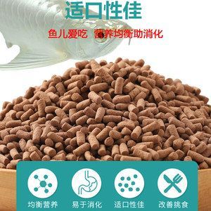 紅龍魚最愛吃什么飼料（紅龍魚成年飼料品牌，紅龍魚發(fā)色飼料效果）