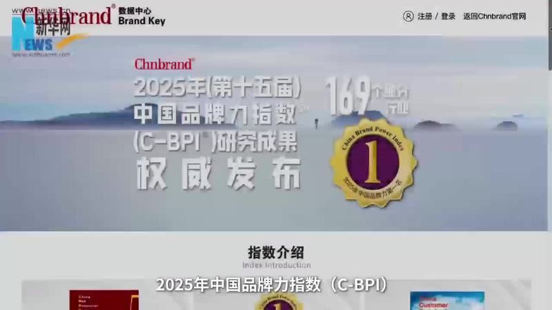 金禾金龍魚屬于什么檔次