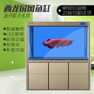 養龍魚要造景嗎為什么會死：養龍魚是否需要造景