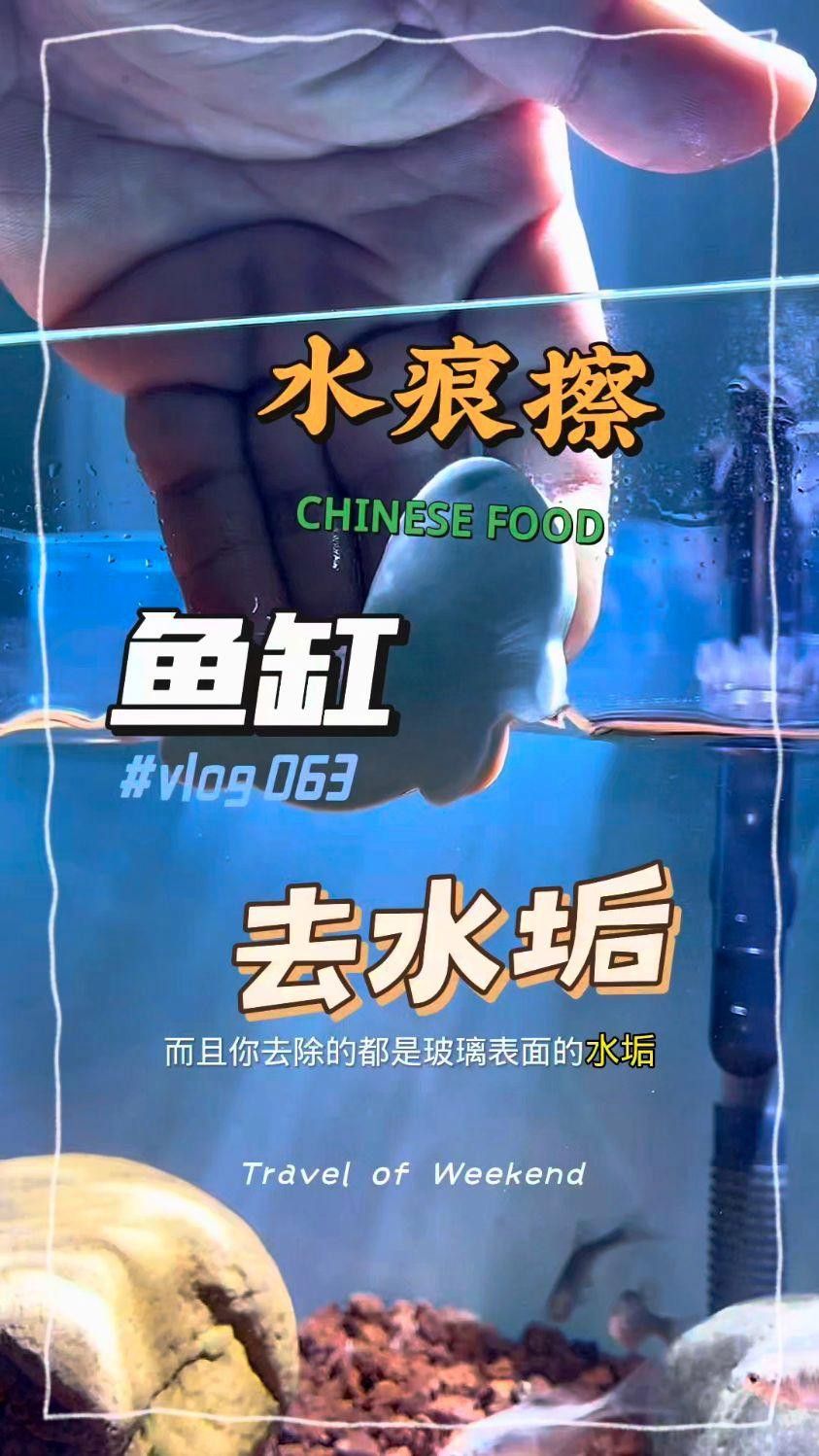 如何清潔和維護(hù)金龍魚(yú)缸背景板？