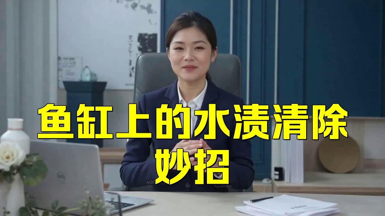 如何清潔和維護(hù)金龍魚(yú)缸背景板？
