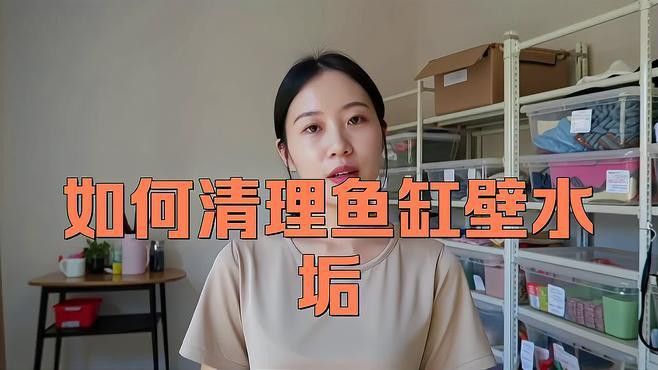 如何清潔和維護(hù)金龍魚(yú)缸背景板？