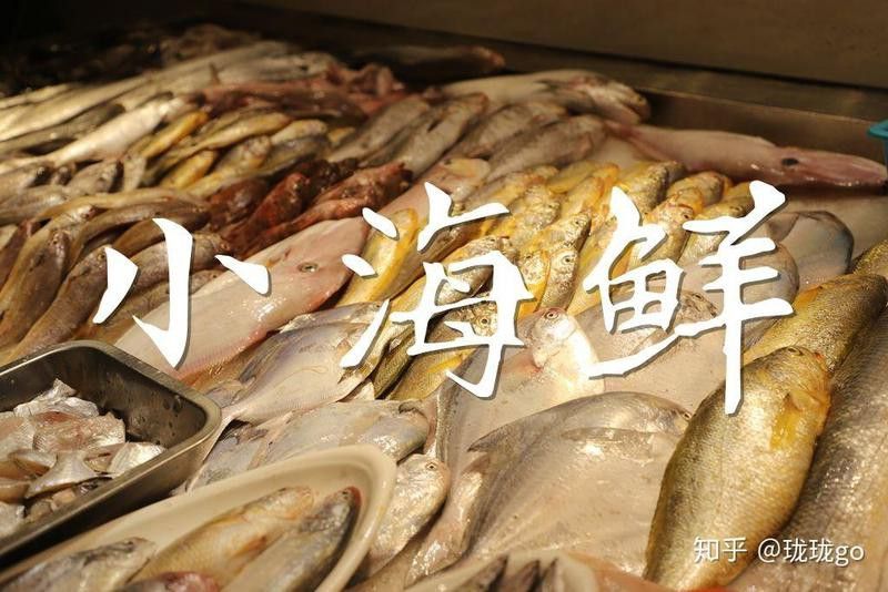 東海小白龍魚價格多少錢