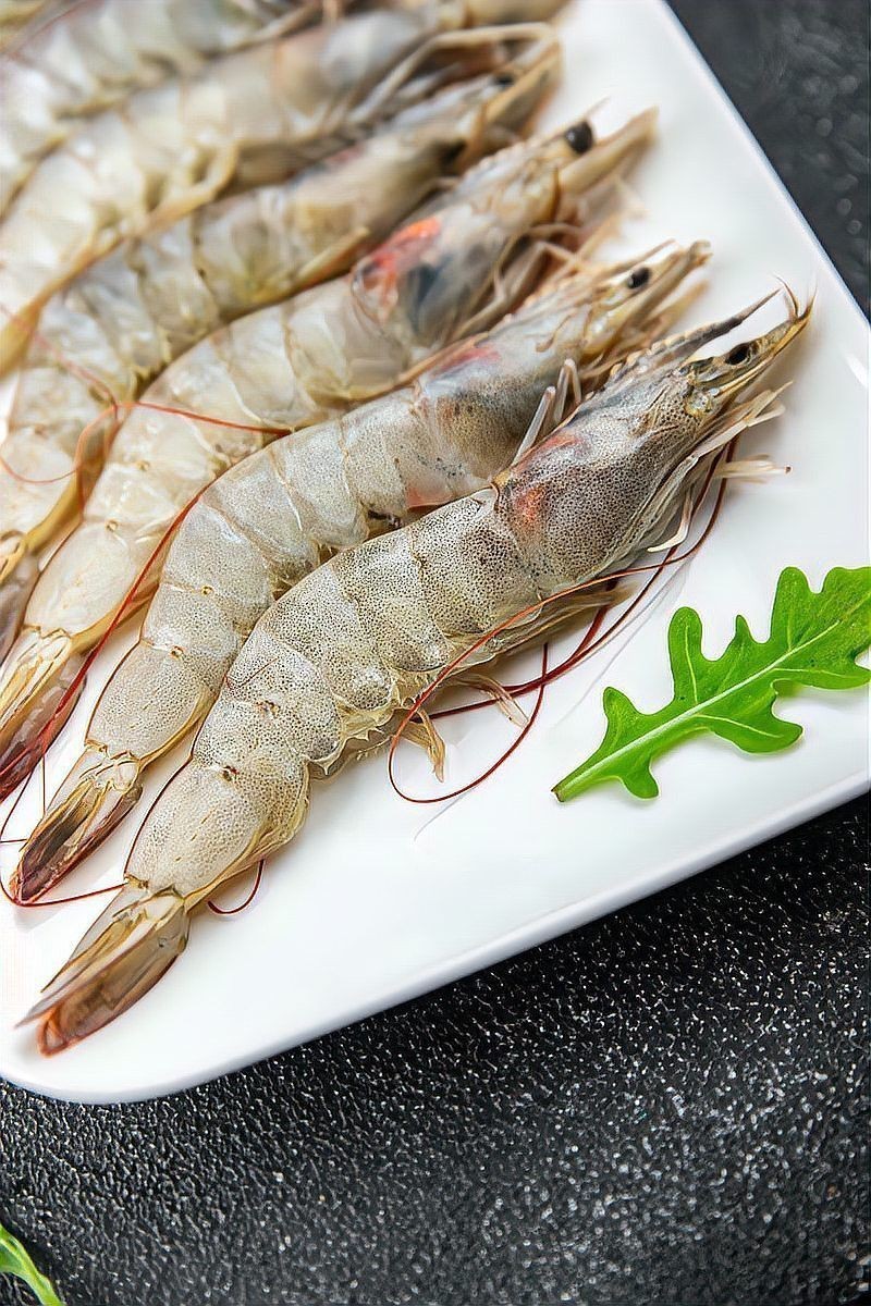 什么人不適合養(yǎng)龍魚蝦