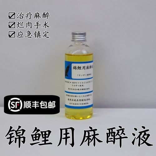 龍魚用麻藥的副作用大嗎圖片大全