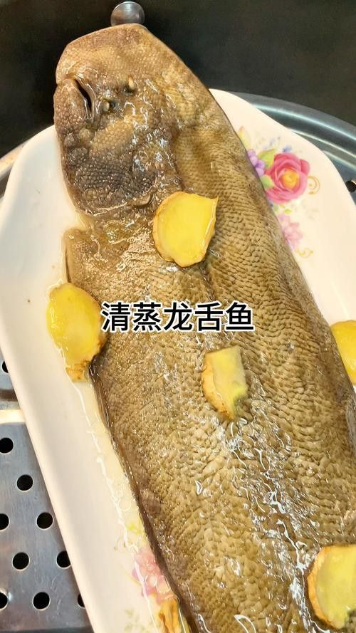 水龍魚圖片大全欣賞圖高清