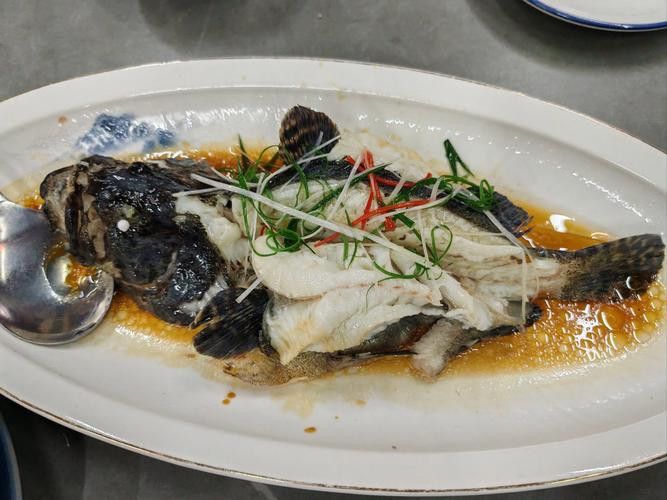 水龍魚圖片大全欣賞圖高清