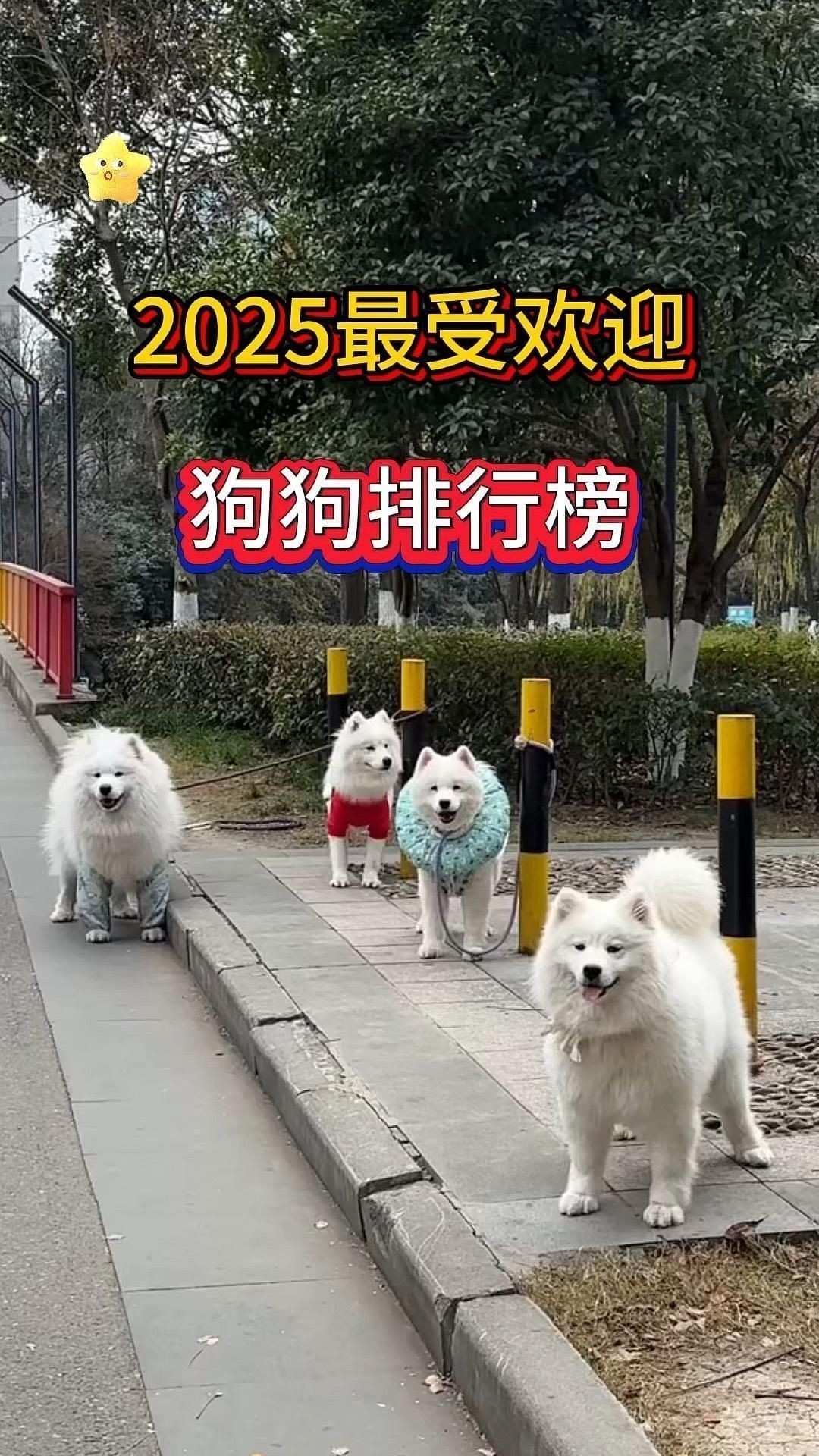 40個品種中哪個最好養？