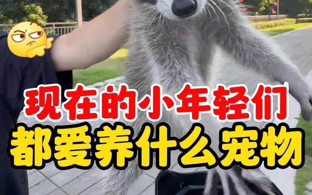 40個品種中哪個最好養？