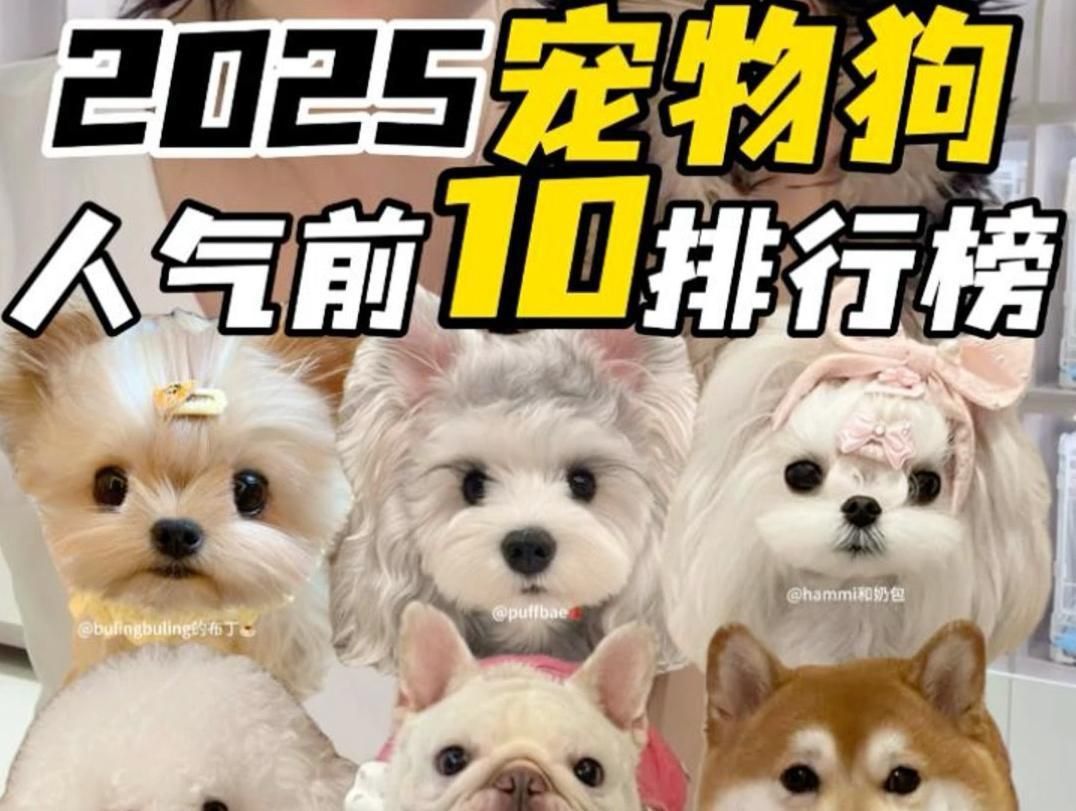40個品種中哪個最好養？