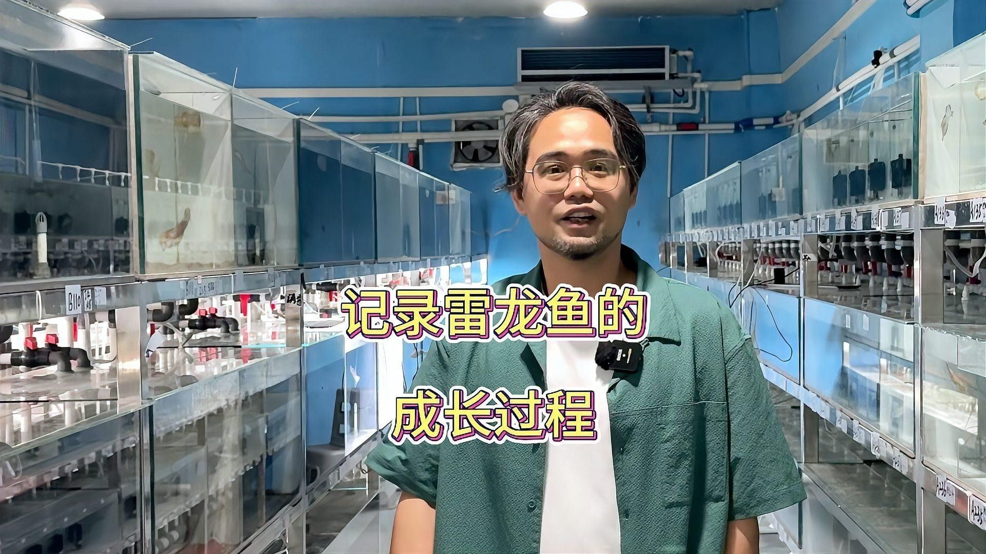 黃金眼鏡蛇雷龍的價格是多少？