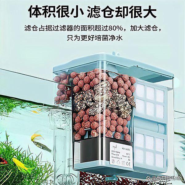 養(yǎng)龍魚用什么過濾器好用