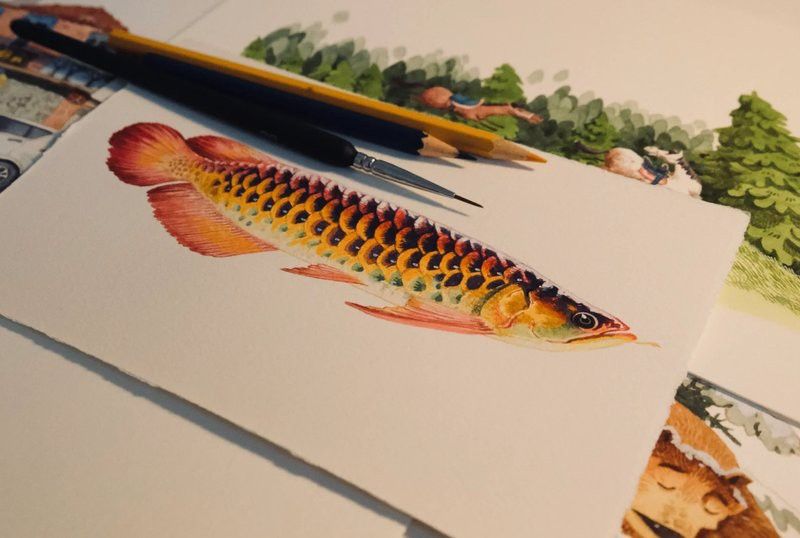 有沒有更詳細的深海龍魚手繪教程？ 有沒有更詳細的深海龍魚手繪教程？ 龍魚百科 第3張