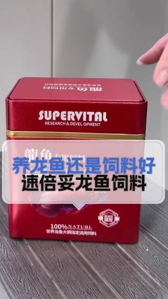 紅龍魚應(yīng)該怎么養(yǎng)殖才好看
