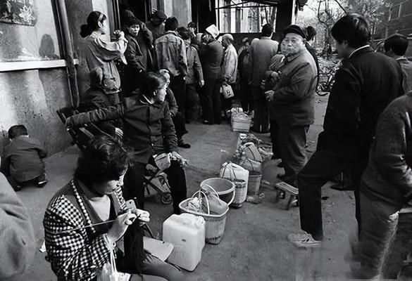 金龍魚不是國產品牌了嗎（金龍魚與本土品牌的競爭金龍魚市場占有率分析）