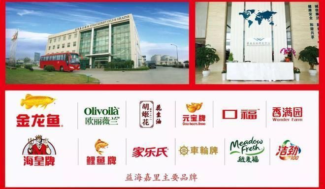 金龍魚不是國產品牌了嗎（金龍魚與本土品牌的競爭金龍魚市場占有率分析）