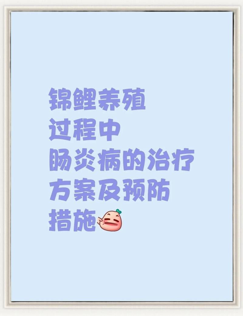 龍魚腸炎期間需要停食多久？