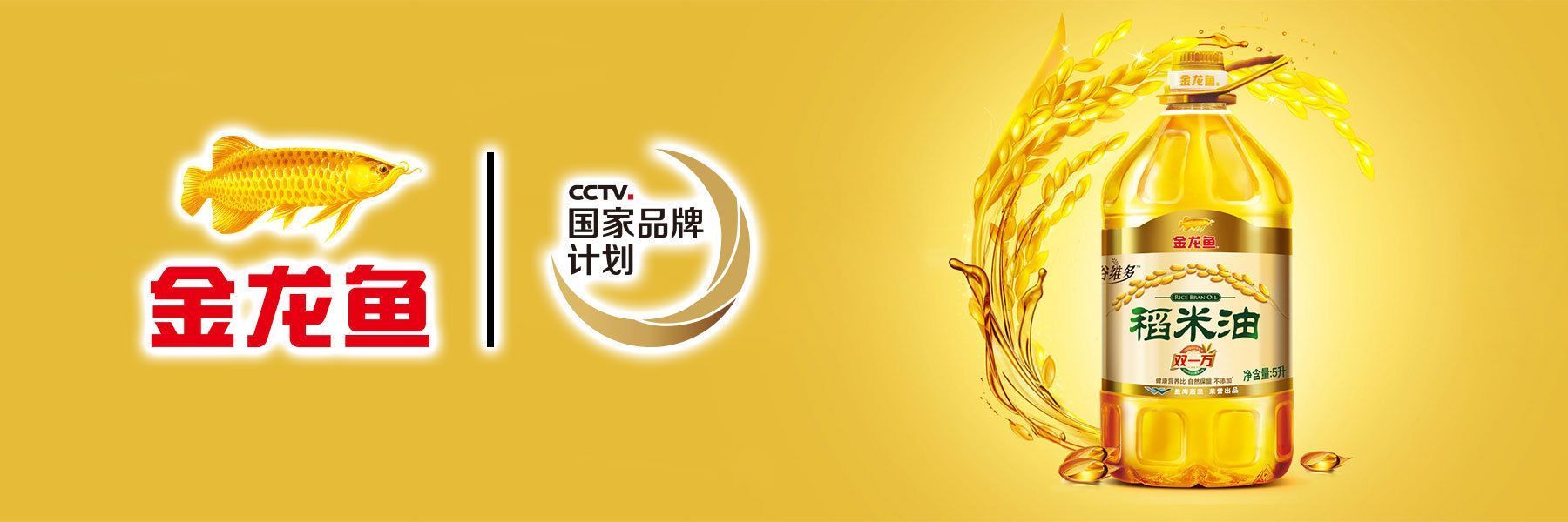 龍魚品相和介紹怎么寫作文的題目：如何寫一篇關于龍魚的作文