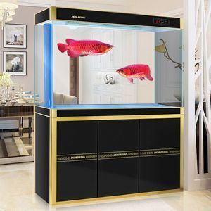 養龍魚缸里放什么裝飾品好看：養龍魚缸放什么裝飾品好看